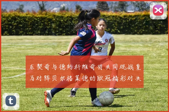 东契奇与德约科维奇将共同观战皇马对阵贝尔格莱德的欧冠精彩对决